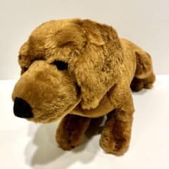 m24669634377_1.jpg?1700020221