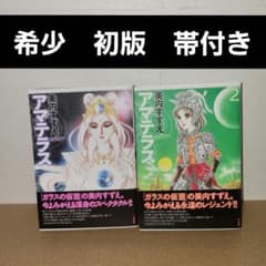 アマテラス ワイド版 全2巻 初版発行 - メルカリ