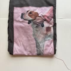 Acne Studios 犬　ほつれ風Tシャツ Acne Studios 犬 ほつれ風Tシャツ | Mercari