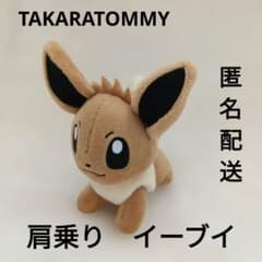 포켓 몬스터 쫓아 가타노리 이브이 TAKARATOMMY 포켓몬
