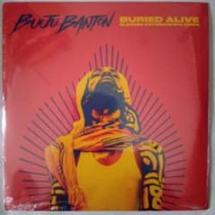 H*I様 Buju Banton / Buried Alive レコードのサムネイル
