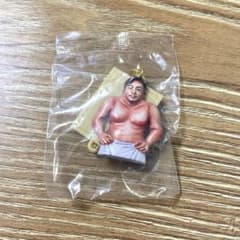 体格ブラザーズ ビッグボディーコレクション 額縁キーホルダー（平子さん）のサムネイル