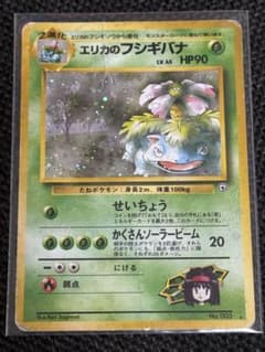 ポケモンカード　旧裏　まとめ売り　エリカのフシギバナ　リザード ポケモンカード旧裏まとめ売りエリカのフシギバナリザード