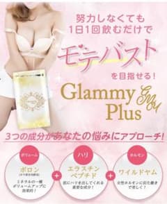 グラミープラス 未開封のサムネイル