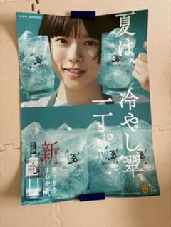 m24673226516_1.jpg?1752476507