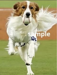 デコピンページ デコピン 始球式&DECOY &トロフィー 2選 ☆686 - メルカリ