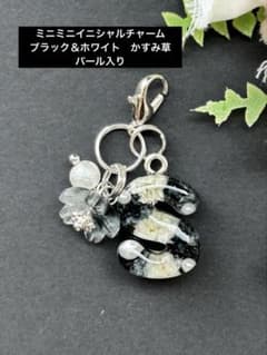 S ミニミニ イニシャルチャーム 黒＆白 かすみ草 パール入り レジン