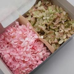 のぶりん様　専用のサムネイル