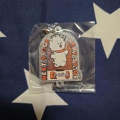 BT21 아크릴 매력 RJ
