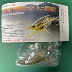 yujin 原色甲殻類 エビ・カニ図鑑 スジエビ 未開封品 - メルカリ