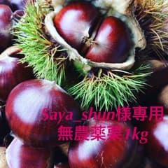 Saya_shun様専用 無農薬 栗 1kgのサムネイル
