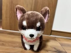 豆しば三兄弟 ココア（チワワ） ぬいぐるみのサムネイル