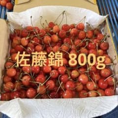 佐藤錦 訳あり 800g 家庭用 加工用 お試し 初モノのサムネイル