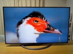 シャープ 50V型 4K 液晶テレビ YouTube Netflix 対応 - メルカリ