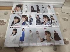 櫻坂46 生写真 まとめ売り セット売り　442枚 櫻坂46 生写真 まとめ売り 220枚セット - メルカリ