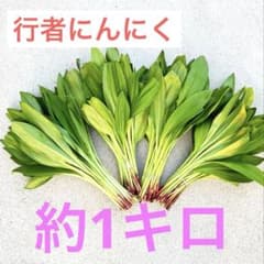 行者ニンニク★アイヌネギ★1キロのサムネイル