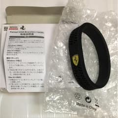 フェラーリ USB メモリーのサムネイル