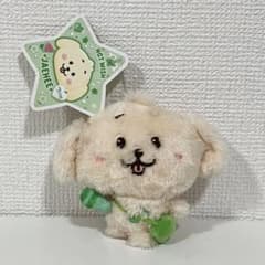 NCT WISH WISH DOLL ぬいぐるみ ジェヒ デントリバー - メルカリ