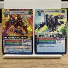 m24690908477_1.jpg?1727705581