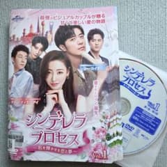 シンデレラプロセス DVD 全21巻セット 中国ドラマのサムネイル