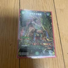 ブラキオ龍樹のサムネイル