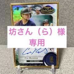 坊さん（ら）様専用　Cal Raleighのサムネイル