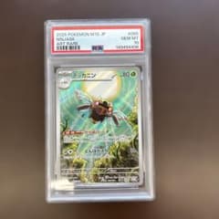 P*p様 テッカニン AR PSA10のサムネイル
