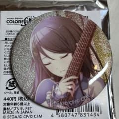 プロセカ 星乃一歌 缶バッジ 4C 星乃一歌 グリ缶バッジ プロセカ vol.4C - メルカリ