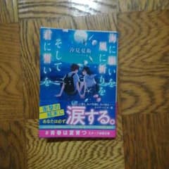 海に願いを風に祈りを そして君に誓いをのサムネイル