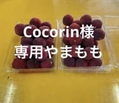Cocorin様専用やまもものサムネイル