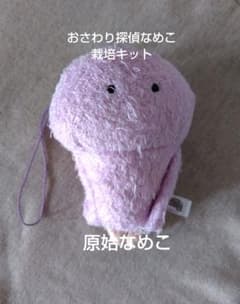 おさわり探偵なめこ栽培キット 原始なめこ ぬいぐるみストラップ