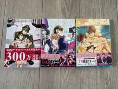 プロミス・シンデレラ　11.12.13巻のサムネイル