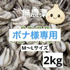鳥取県産 砂丘 らっきょう 4kg M〜Lサイズ ボナ様専用 - メルカリ