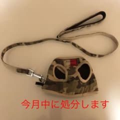 小型犬用リードのサムネイル