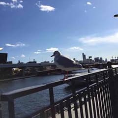 you。。様専用のサムネイル