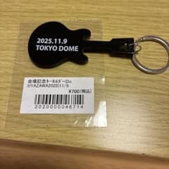 矢沢永吉 会場記念キーホルダー Do it! 2025 東京ドーム - メルカリ