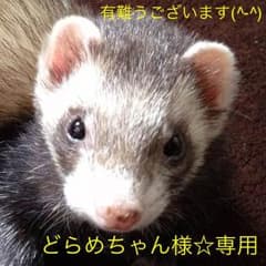 どらめちゃん様☆専用のサムネイル