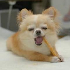 りったんさん専用のサムネイル