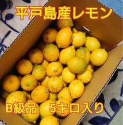 平戸島レモン B級品5キロ入り ①国産レモン - メルカリ