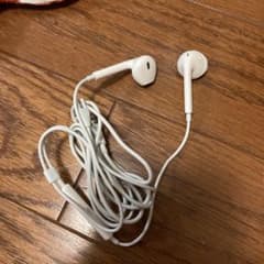 iPhone イヤホン 純正イヤーポッツのサムネイル