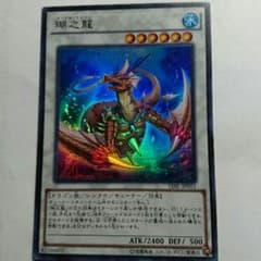 コーラル・ドラゴンのサムネイル