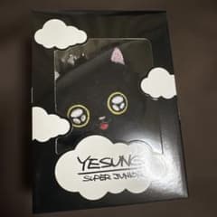 YESUNG イェソン ぬいぐるみキーホルダー キラキラver - メルカリ
