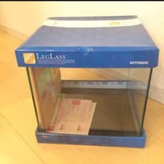 30cmキューブ水槽のサムネイル