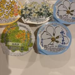 北海道　六花亭　水菓子　ゼリーなど　②のサムネイル