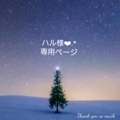 ハル様❤︎.*専用ページ【12月24日～】のサムネイル