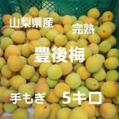 5️⃣ 山梨県産 豊後梅 中熟〜完熟 5キロ - メルカリ
