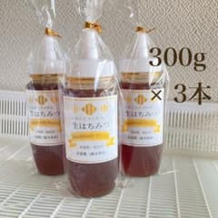 値下げ ニホンミツバチの生はちみつ（栃木県産）300ｇ入り× ３本のサムネイル