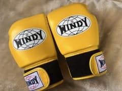 未使用新品WINDY ボクシンググローブ 8oz イエロー BGVH 未使用新品WINDY ボクシンググローブ 8oz イエロー BGVH - メルカリ