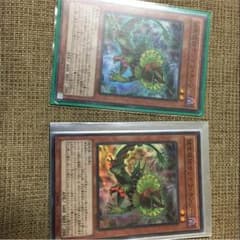 遊戯王捕食植物サンデウキンジーのサムネイル