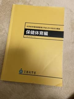 中学校学習指導要領解説 保健体育編 平成29年7月のサムネイル